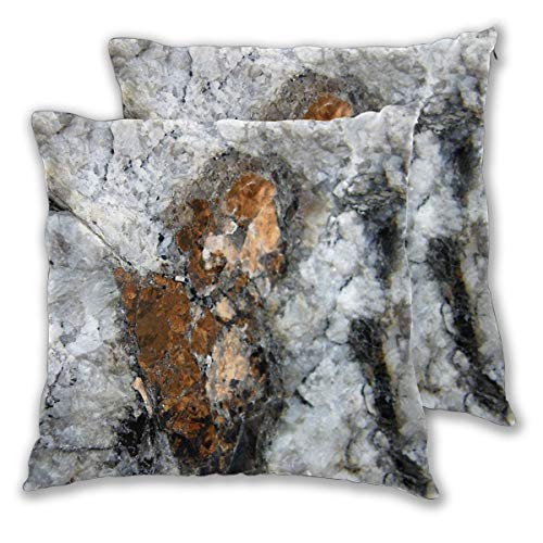 Copper Cushion Cover Copper | Set of 2 | Square Throw Pillow Case