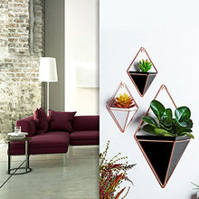 Load image into Gallery viewer, Geometric Wall Planters | Wall Decor | Black &amp; Copper 
