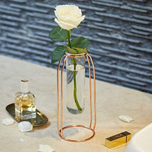 Load image into Gallery viewer, Copper Metal Glass Vase For Stem Flower 
