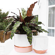 Load image into Gallery viewer, Set Of 2 Marble White &amp; Copper Plant Pots 
