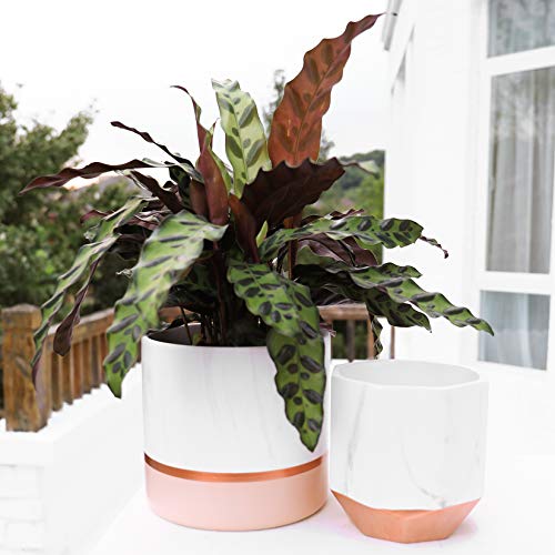 large rose gold plant pot Marbled White Ceramic & Copper, Rose- Gold Plant Pots | Pack Of 2