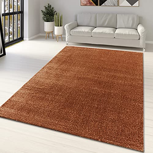 Extra Large Copper Coloured Rug | Rust, Brown | Woven Carpet | 200 x 2 ...