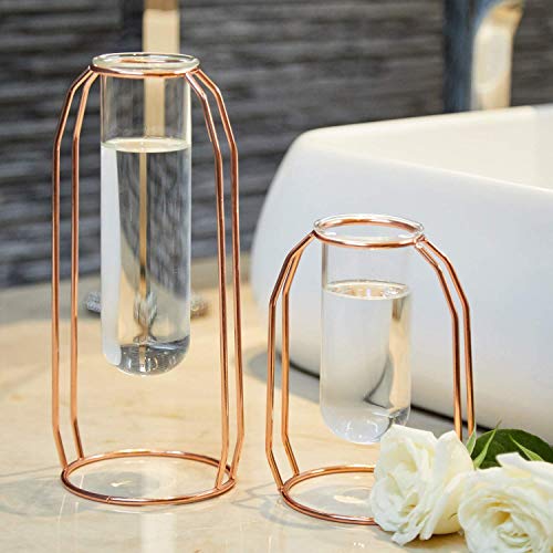 Set Of 2 Copper Metal Vases | For Flowers | Clear Vase | Decorative