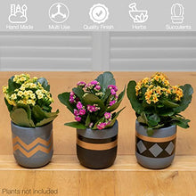 Load image into Gallery viewer, Indoor Plant Pots | Set Of 3 | Copper, Black &amp; Grey 
