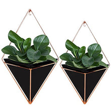 Load image into Gallery viewer, Geometric Hanging Planters | Black &amp; Copper | Wall Décor | Pack of 2 | Starall
