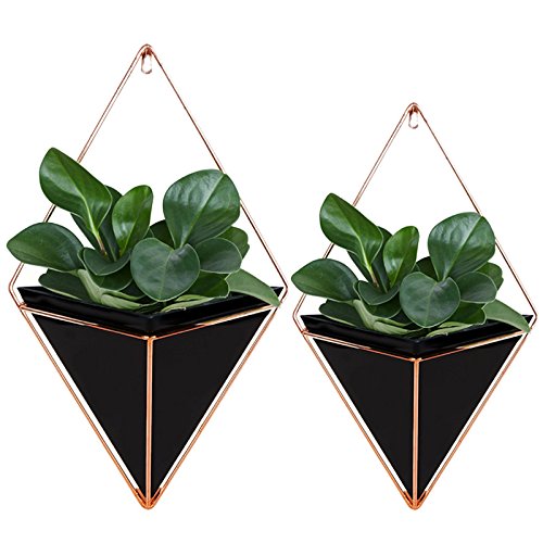 Geometric Hanging Planters | Black & Copper | Wall Décor | Pack of 2 | Starall