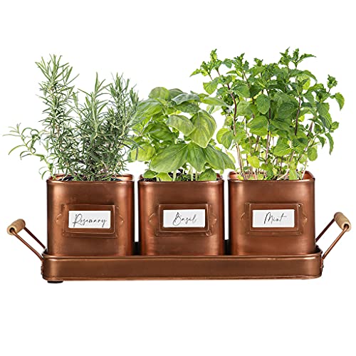Set Of 3 | Rustic Copper Metal Kitchen Windowsill Plant Pots | Indoor Herb Planters | Dibor 